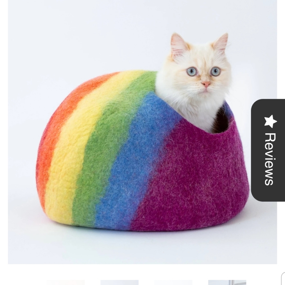 Rainbow Cat Cave